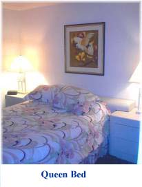 Queen Size Bed